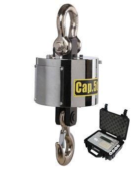 Crane scales