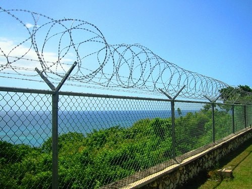 Metal wire mesh and other barriers