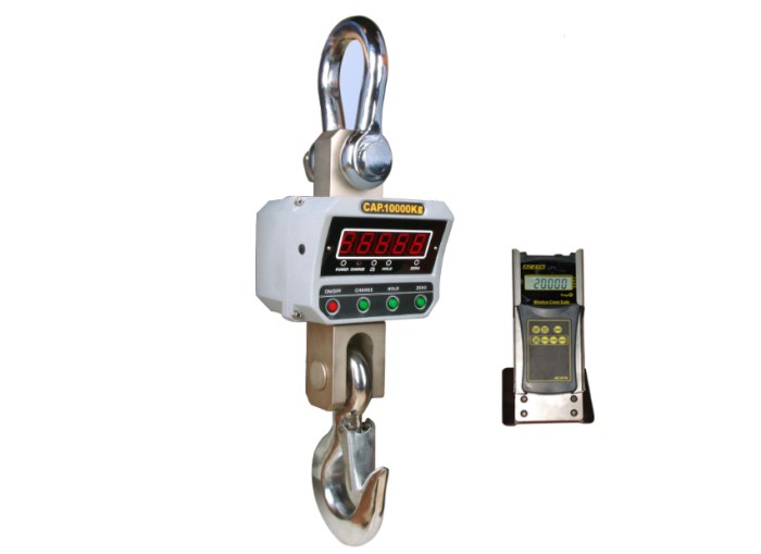 OCS Electric Crane Scale With Printer