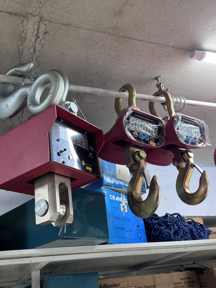 Electric Crane Scale (5t,10t,20t)