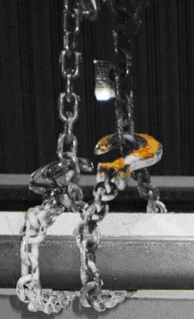 DIN 5685 Steel Chain